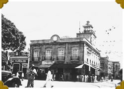 Cajueiro da Mentira ou cajueiro botador