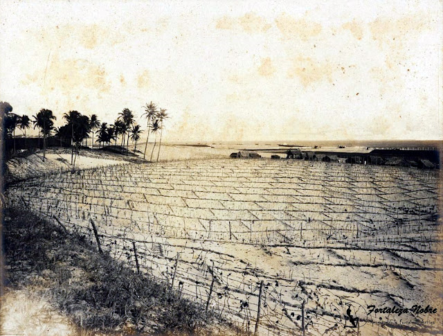 Estoril - Vila Morena