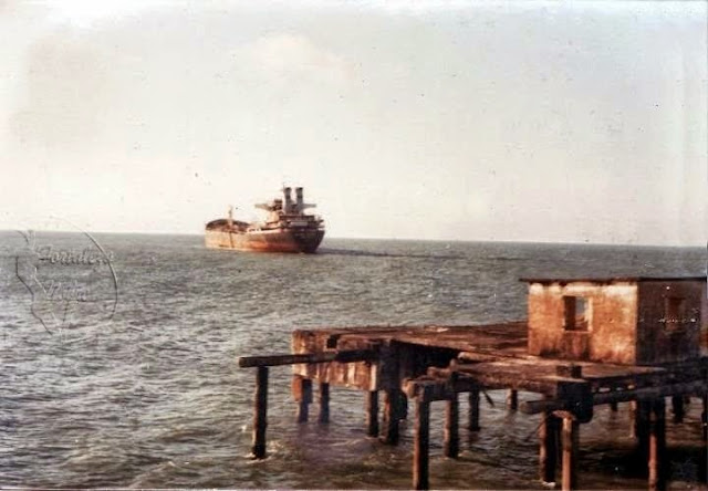 Mara Hope - 30 Anos