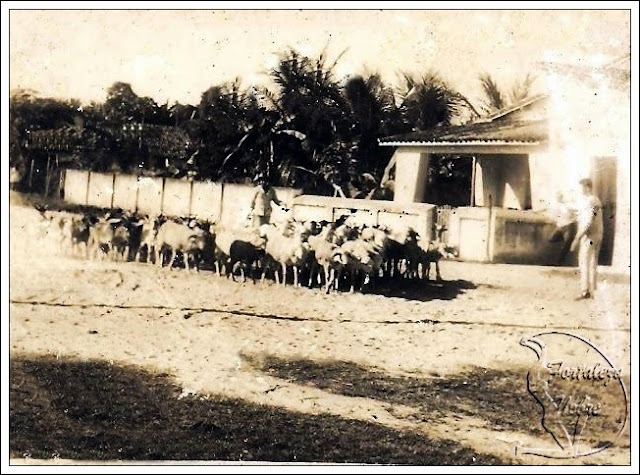 Bairro Pan Americano