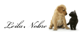 x_3c053ed6